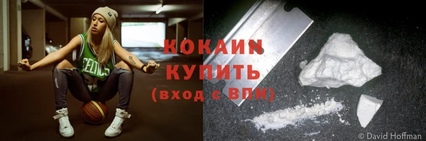 винт Абаза