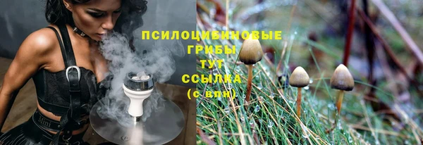 винт Абаза