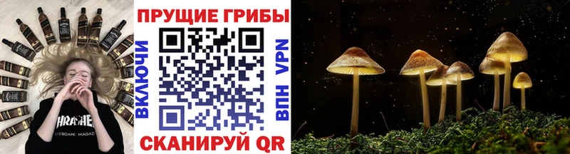 Галлюциногенные грибы GOLDEN TEACHER дарнет шоп нарко площадка официальный сайт Каменск-Уральский